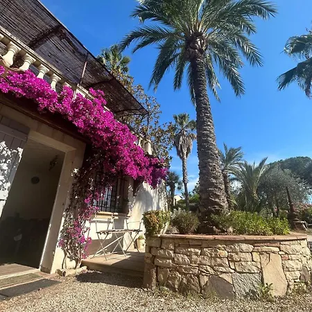 Les Palmiers Apartment Frejus Exterior photo
