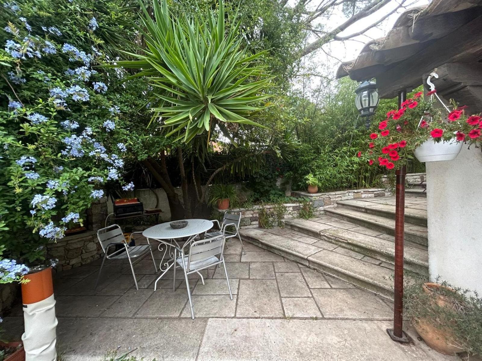Les Palmiers Apartment