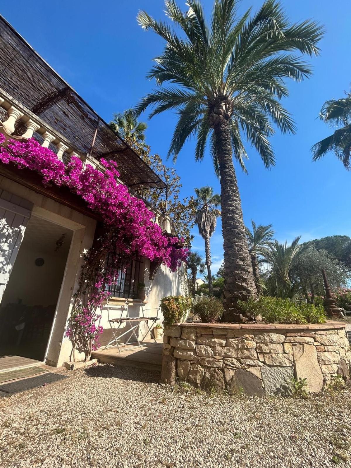 Les Palmiers Apartment *